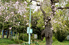 hana28 (108)_thumb.png